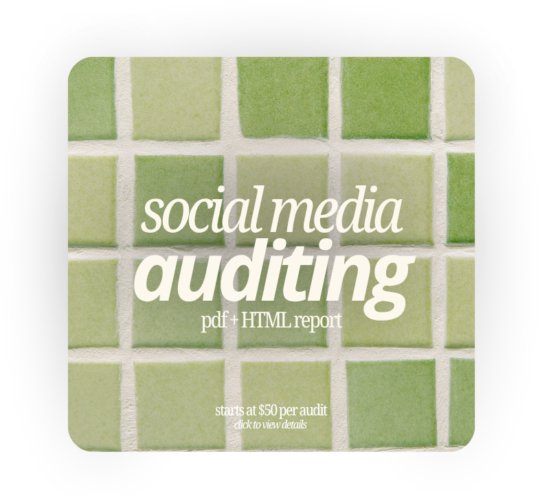 Social Media Auditing